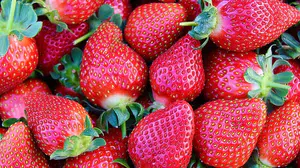 Çilek nasıl taze kalır, nasıl saklanmalı, buzdolabına koymadan kaç gün dayanır, yıkamadan mı saklamalı?