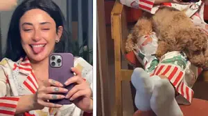 Instagram’da Melek Mosso Darphanesi! 8 Bin Abone, Aylık 370 Bin TL Kazanç