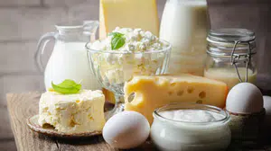 'Ne kadar protein, o kadar sağlık' algısı yıkılıyor! Organları yoruyor
