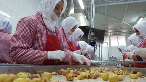 Bakanlık'tan yeni gıda yönetmeliği: O ürünler artık yasak!