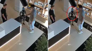 Mağazada 'Robot Saldırısı' paniği: İtilen insansı robot tekme atmaya çalıştı!