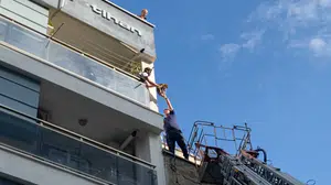 Aydın'da çatıya kaçan kedi itfaiye ekiplerince kurtarıldı