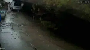 Zonguldak'ta istinat duvarının çökme anı kamerada: Köpekler telef oldu, araçlar enkaz altında kaldı