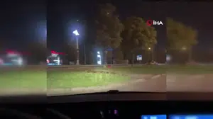 Bursa'da eşek ağaca bağlı unutuldu, vatandaşlar kaydetti