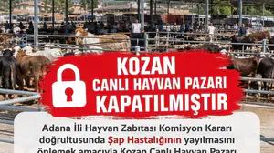Kozan'daki canlı hayvan pazarı şap hastalığı nedeniyle kapatıldı