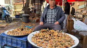 Tavşanlı'da sonbahar yağmurlarıyla melki mantarı mesaisi başladı