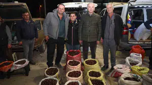 Düzce'de kuzu kestanesi pazarı hareketlendi: Başkan Faruk Özlü'den davet