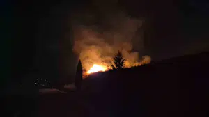 Adıyaman’da anız yangınında birçok ağaç zarar gördü