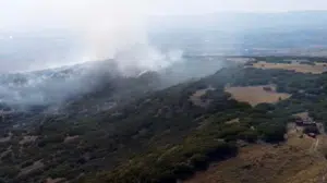 Ankara'da ormanlık alanda yangın paniği: Soğutma çalışmaları sürüyor