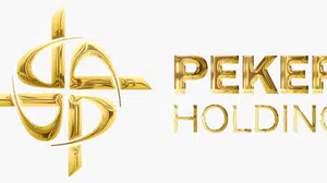 Peker Holding Peker GYO paylarının devrine ilişkin açıklama yaptı