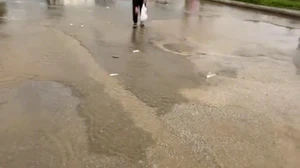 Bodrum’da sağanak baskını: Gölet taştı asfalta balık yağdı