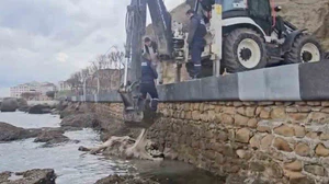 Gelibolu’da ölü inek sahile vurdu