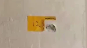 "Polisiz" diyerek eve giren şüpheliler anne ile oğlunu vurdu