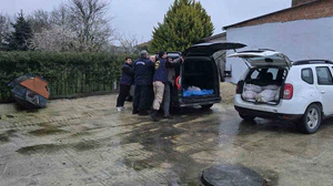 Silivri’de satışa hazır 306 at eti yakalandı