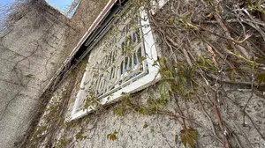 Eskişehir’in simgesi haline geldi: Baharın gelişiyle o cami yeniden yeşile bürünüyor