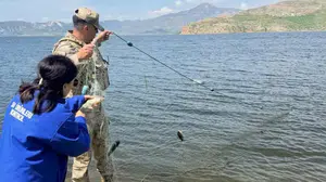 Baraj gölünde kaçak avcılara geçit yok: Ağlara takılan binlerce balık özgürlüğüne kavuştu