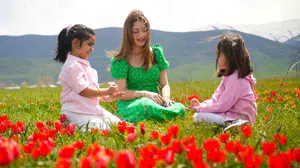 Muş Ovası’nda görsel şölen: 1071 tescilli laleler doğayı kızıla boyadı