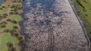 Doğa tutkunlarının yeni rotası: Kızılırmak Deltası bahar renklerine büründü