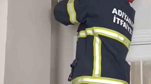 Asma tavanda sıkışan 4 yavru kedi kurtarıldı