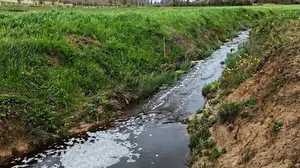 Sinop’ta doğa katliamına ağır fatura: İkinci denetimde ceza ikiye katlandı