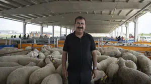 Kurban Bayramı öncesi kritik uyarı: Dolandırıcılara karşı dikkatli olun