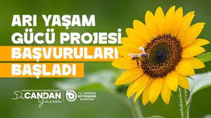Tekirdağ’da bal üreticilerine can suyu: Yem desteğinde başvurular açıldı