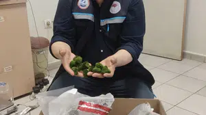 Kapıkule’de sıra dışı kaçakçılık: 8,5 kilogramlık yeşil alg operasyonu