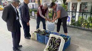 Maliyetler belini büktü, çareyi kapıları açmakta buldu: Tonlarca patlıcan sofralara ücretsiz ulaşıyor