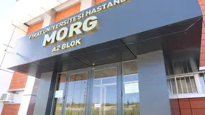 Elazığ’da kahreden olay: 17 yaşındaki Elif balkondan düşerek yaşamını yitirdi