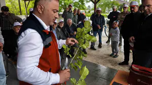 Bahçelerde verim dönemi başlıyor: Termeli üreticiler artık uzmanlaştı