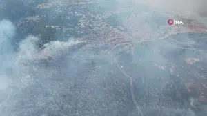 Dikili'deki yangın kontrol altına alındı