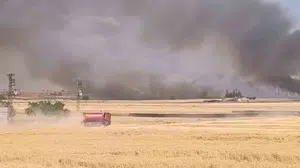 Harran’da hasat vakti kabusa döndü: 400 dönümlük emek bir anda küle döndü