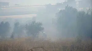Antalya’da alevler seralara dayandı: Mahalleli ve itfaiye seferber oldu