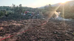 Sakarya'da yangın kontrol altına alındı, Bilecik sınırına sadece 300 metre kala
