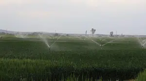 Konya’da suyun bereketi çiftçinin yüzünü güldürdü: Kuyulara 4 ay geç inildi