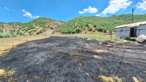 Bingöl'de tarlada çıkan yangın, itfaiye tarafından söndürüldü