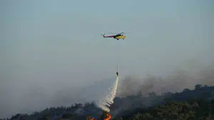 İzmir'in dikili ilçesinde çıkan yangın kontrol altına alındı