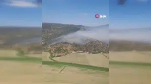Söke'deki zeytinlik alanda yangın kontrol altına alındı