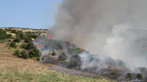 Manisa’da makilik alanda çıkan yangında 15 dönüm alan zarar gördü