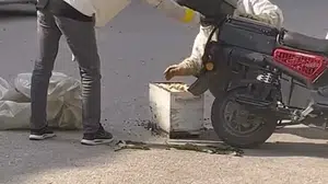 İnegöl'de motosiklet üzerinde arı oğul verme olayı