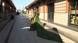 İranlı öğrenci 5 bin çay yaprağı kullanarak elbise tasarladı