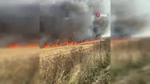 Çorlu'da buğday tarlasında çıkan yangın geniş bir alana yayıldı