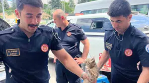 Eskişehir'de otomobilin motor bölümünde sıkışan kedi kurtarıldı