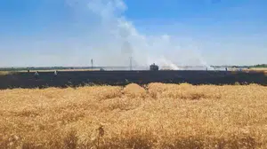 Şanlıurfa'da buğday tarlasında yangın çıktı