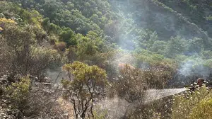 Marmaris'teki yıldırım kaynaklı orman yangını kontrol altına alındı