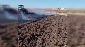 Siirt'te biçerdöver yangını, 50 dönüm ekili alanı tahrip etti