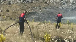 Besni'de dağlık alanda çıkan yangında 50 dönümlük alan zarar gördü