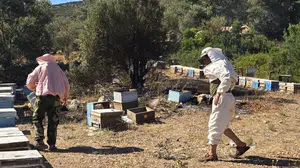 Datça'da çıkan yangın ekiplerin müdahalesiyle söndürüldü