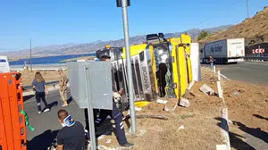 Elazığ'da küçükbaş hayvan yüklü tır devrildi, 2 kişi yaralandı