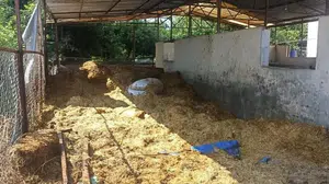Dörtyol'da çıkan samanlık yangını kısa sürede kontrol altına alındı